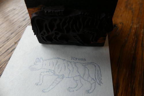 Hyena...staré tiskátko, razítko — foto 1