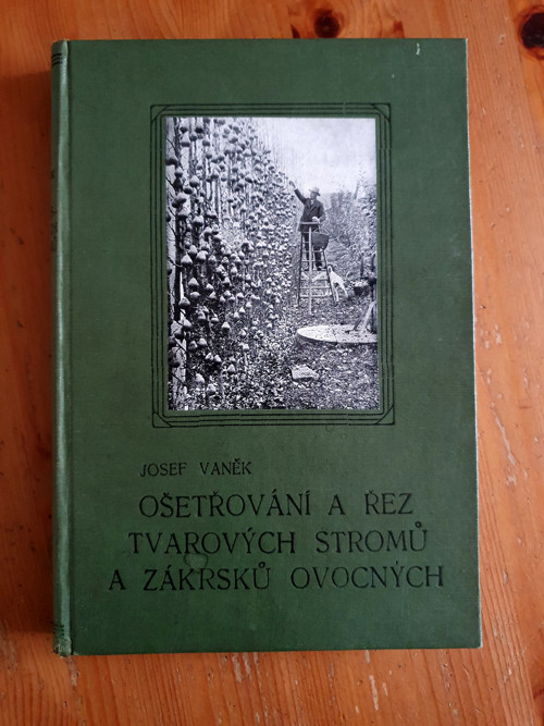 Ošetřování a řez tvarových stromů — foto 1