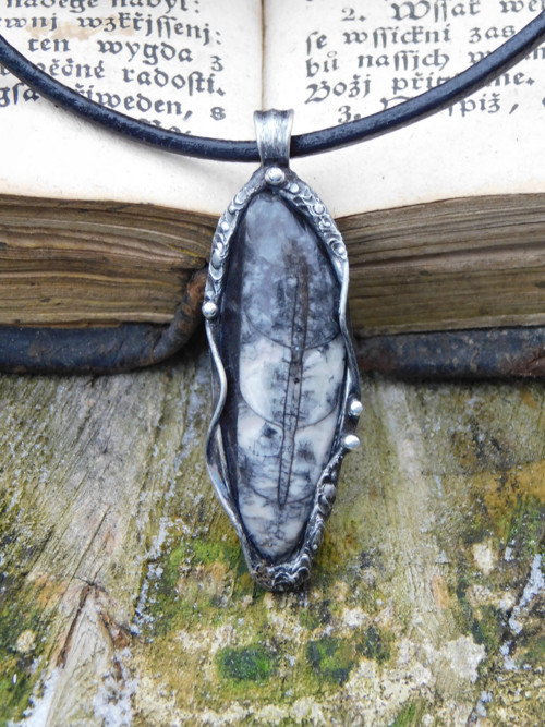 Tajemný talisman - Orthceras