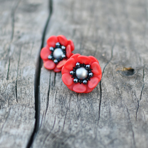 Red Poppy