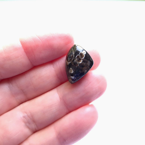 Achát fosilní turritella 278 kabošon 18x13x8 mm