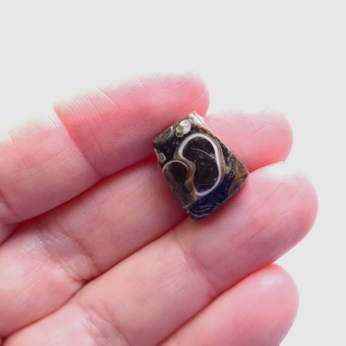 Achát fosilní turritella 275 kabošon 15x12x7 mm