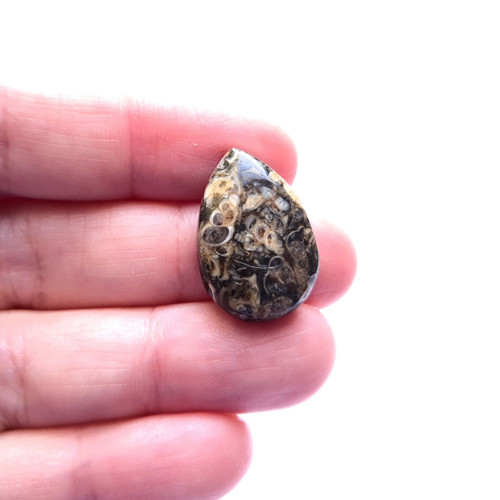 Achát fosilní turritella 274 kabošon 22x15x5 mm