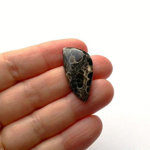 Achát fosilní turritella 154 kabošon 30x15x5,5 mm