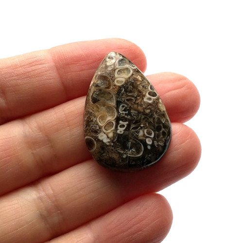Achát fosilní turritella 66 kabošon 32x22x6 mm