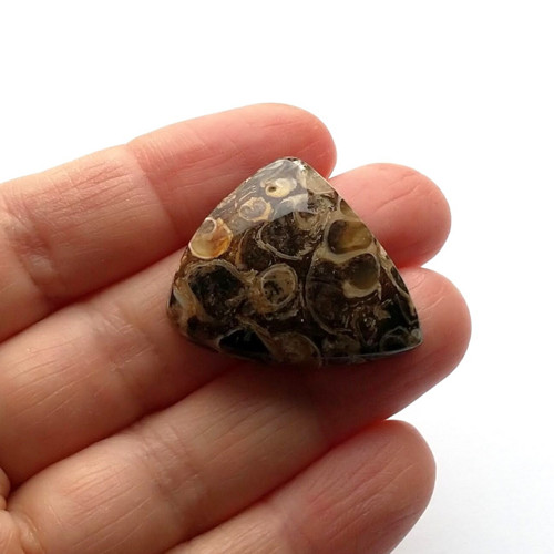 Achát fosilní turritella 65 kabošon 31x25x8,5 mm
