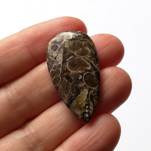 Achát fosilní turritella 56 kabošon 35 x 19 x 5 mm