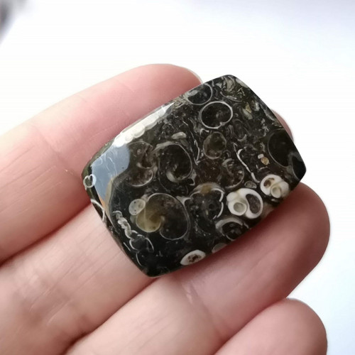 Achát fosilní turritella 50 kabošon 29 x 22 x 7 mm