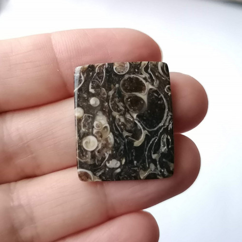 Achát fosilní turritella 49 kabošon 26 x 22 x 3 mm