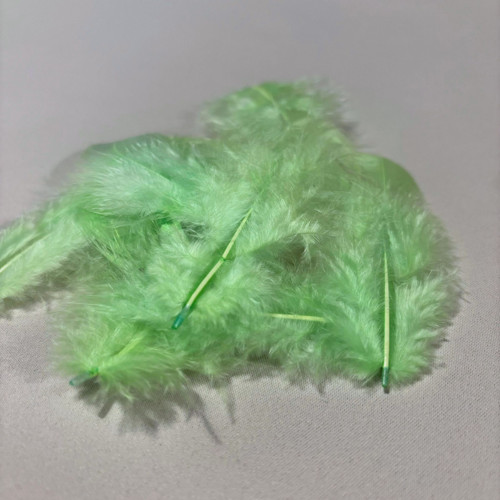 Peří zelené — foto 1