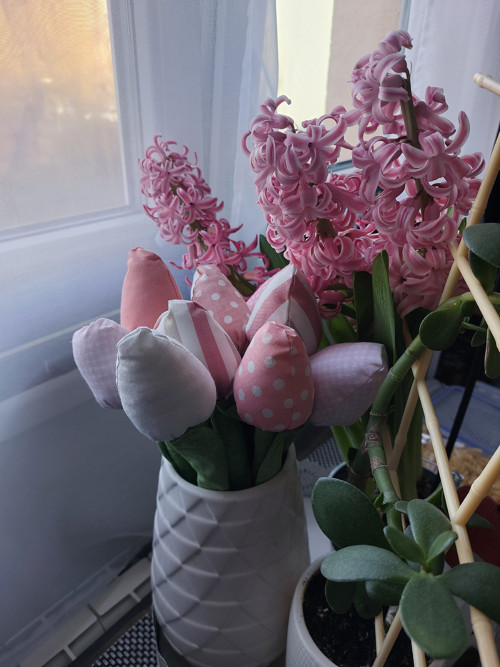 Set 10 ks tulipánů