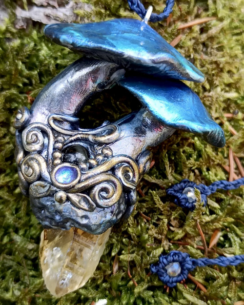 Magická houba — foto 1