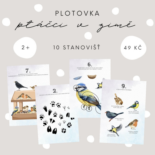 Plotovka - ptáčci v zimě (PDF - tisk)