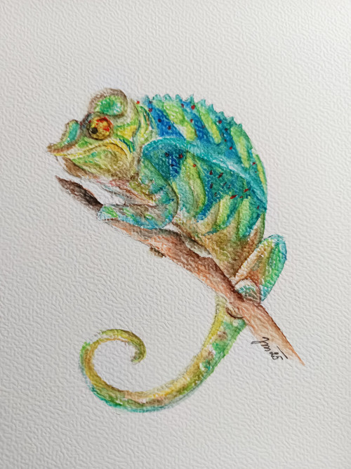 Chameleon — foto 1