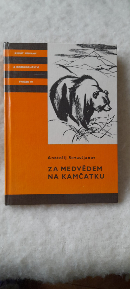 Za medvědem na Kamčatku — foto 1