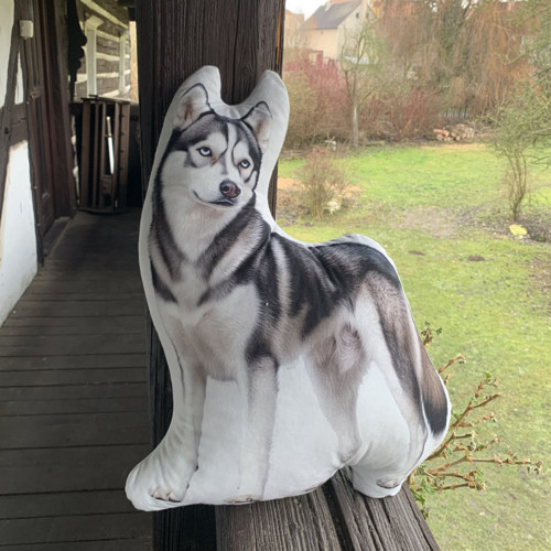 Hasky - 3D polštář