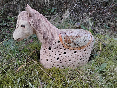 Koník