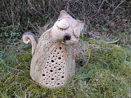 Kočka