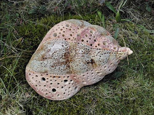 Ulita - svicen