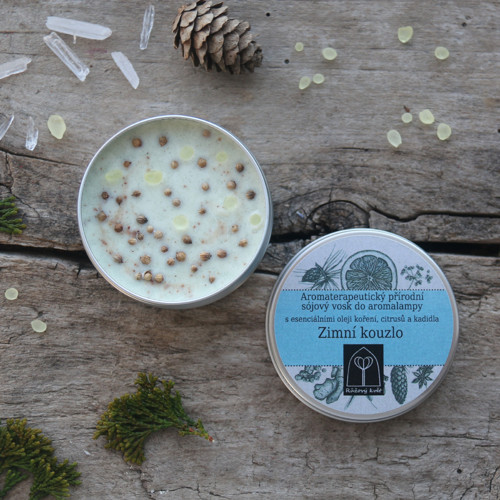 Vosk do aromalampy Zimní kouzlo 60 g