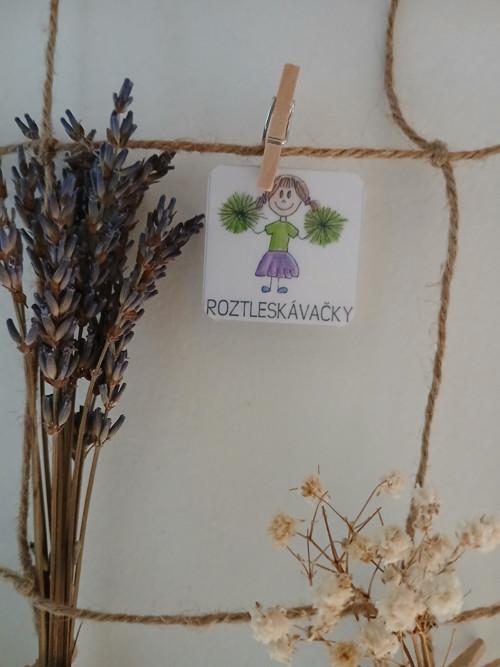 Roztleskávačky