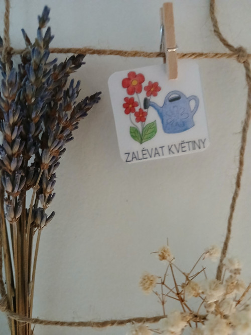 Zalévat květiny