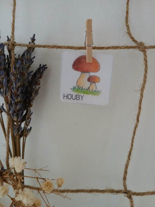 Houby — foto 1