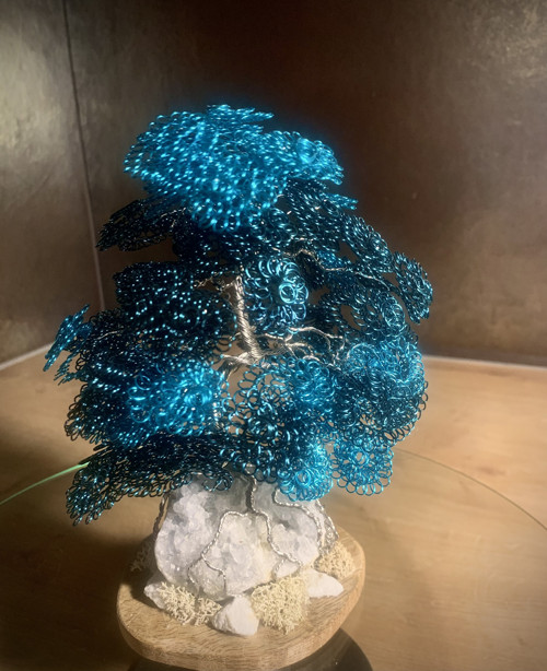Bonsai - Celestin z Madagaskaru (T 15)