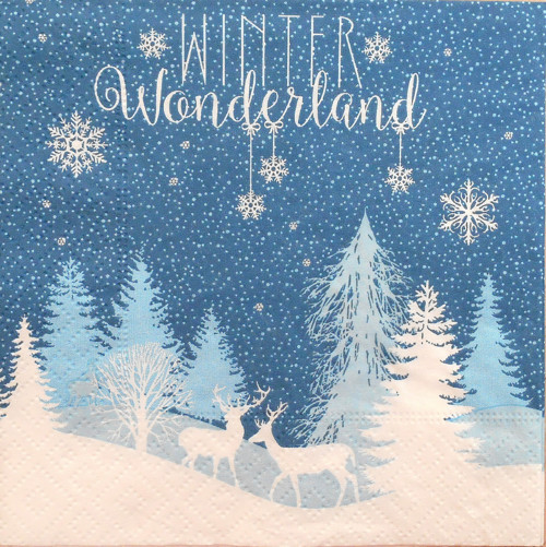 Ubrousek 25 x 25 cm - Winter Wonderland
