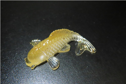 Koi kapřík