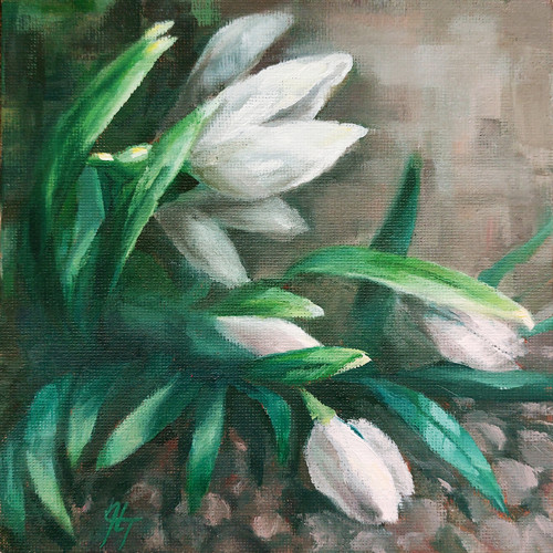 První sněženka | 15 × 15 cm