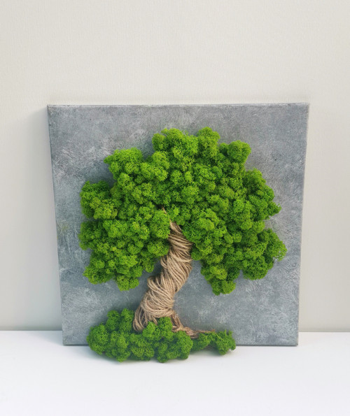 Živý mechový obraz, strom 40x40cm