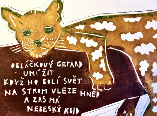 Obláčkový gepard — foto 1