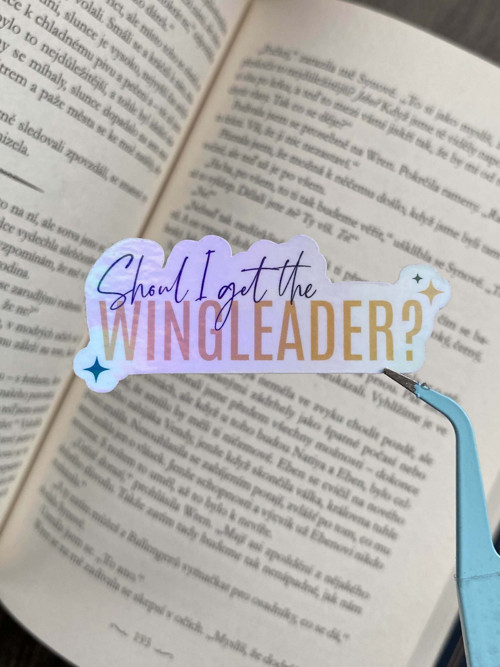 „Should I get the Wingleader?“, Čtvrté křídlo, 1