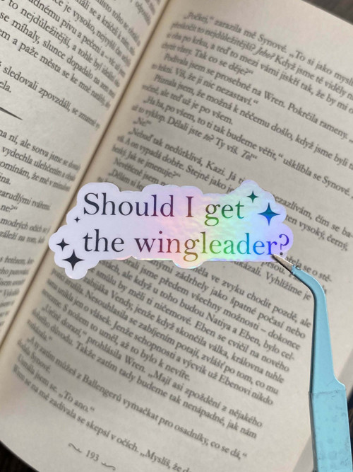 „Should I get the Wingleader?“, Čtvrté křídlo, 3