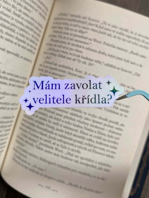 „Mám zavolat velitele křídla?“, Čtvrté křídlo, 4