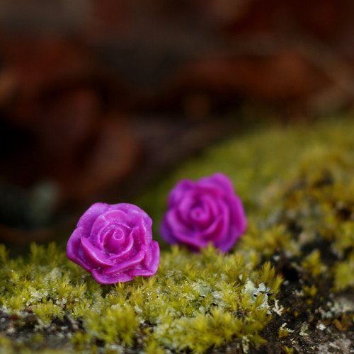 Růžičky purpurové - pecky 15 mm