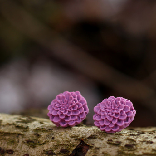 Chryzantémy fialové - pecky 20 mm