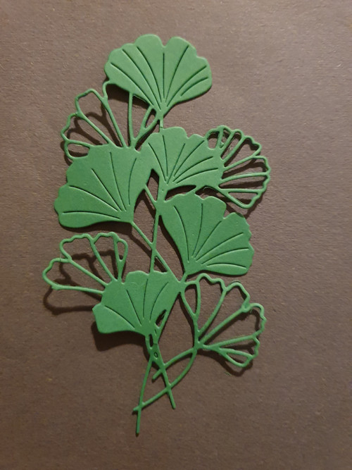 Ginko biloba