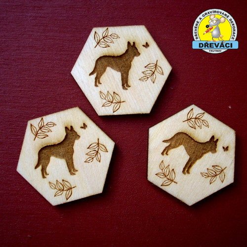 Šestihran s gravírovaným motivem 3 x 3,5 cm...