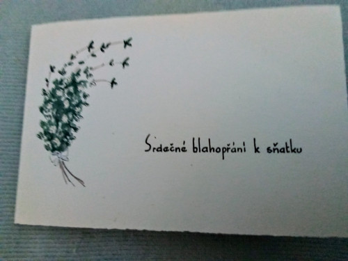 Svatební — foto 1