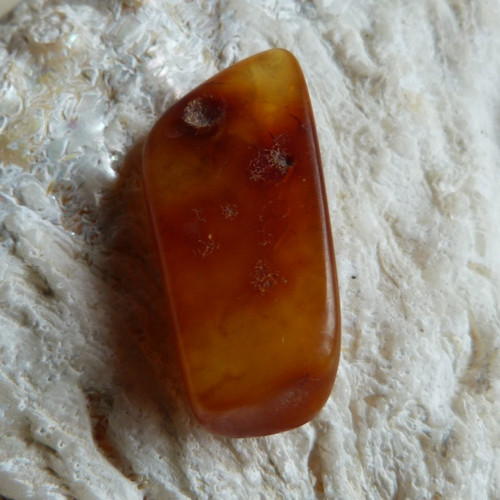 Jantar Polsko Gdaňsk - 2,8 cm