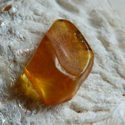 Jantar Polsko Gdaňsk - 3,1 cm - Extra