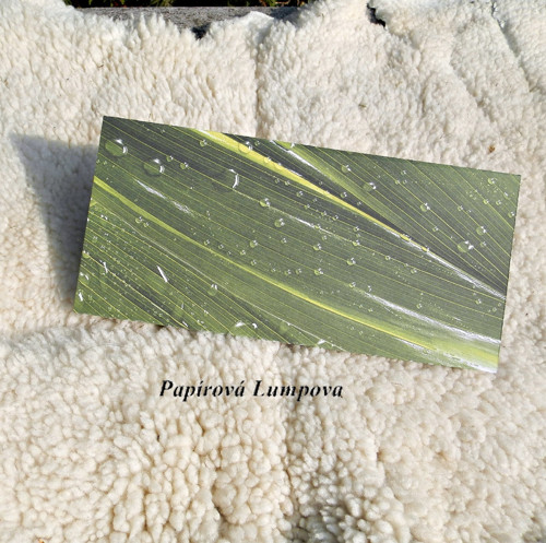 Obálka - přání — foto 1