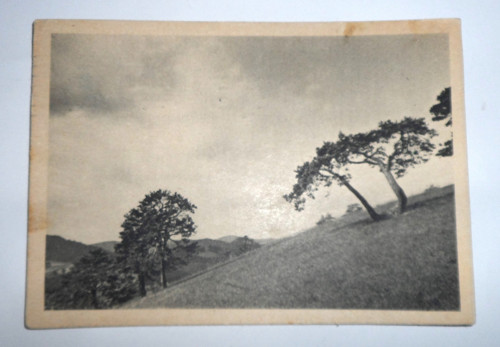 ČB POHLEDNICE, 1951 — foto 1