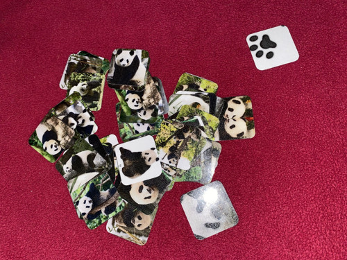 Menší pexeso vel.M č.184 - Panda (48ks)