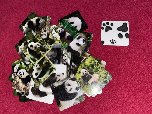 Pexeso vel.L č.184 - Panda (48ks)