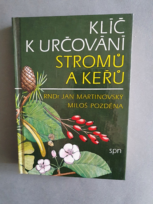 Klíč k určování stromů a kařů