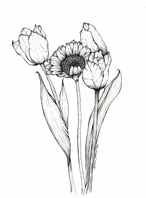 Gerbera S Tulipány