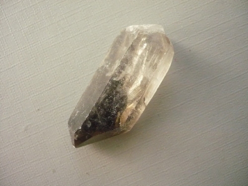 Špice - záhněda 41 mm, č.7f